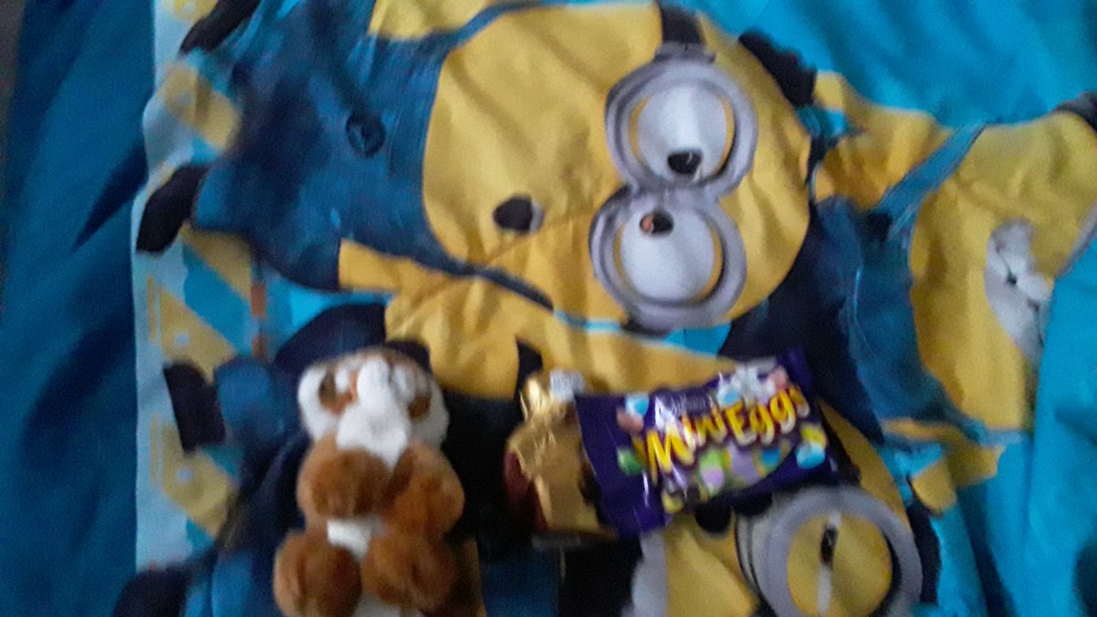 joshthecoolcat's tweet photo. tiger Mini Eggs and chocolate https://t.co/DWr9kUhuvZ