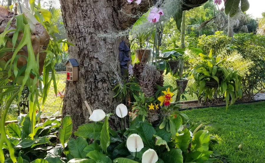 View image on Twitter