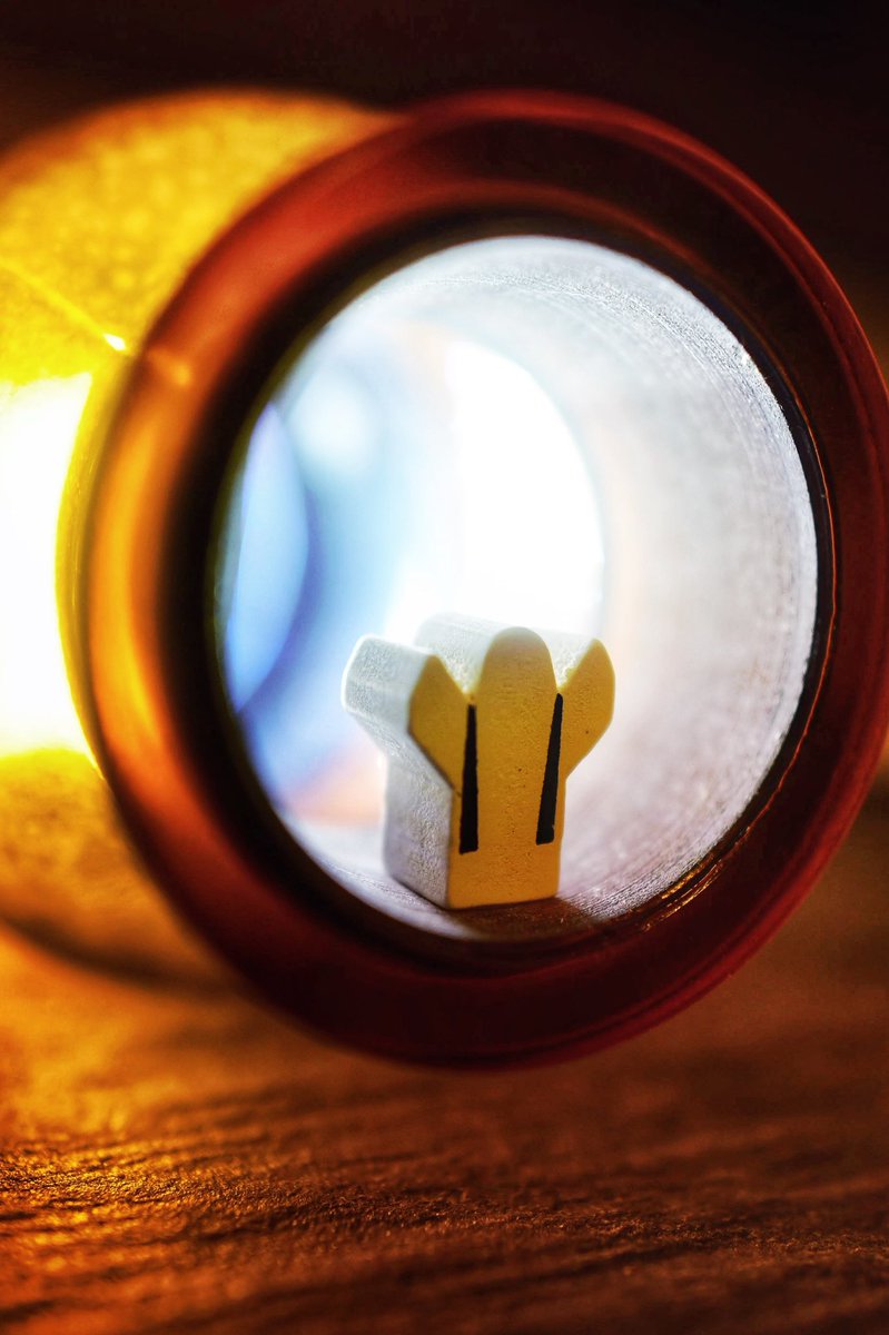 PLAYTOGRAPHY tweet media