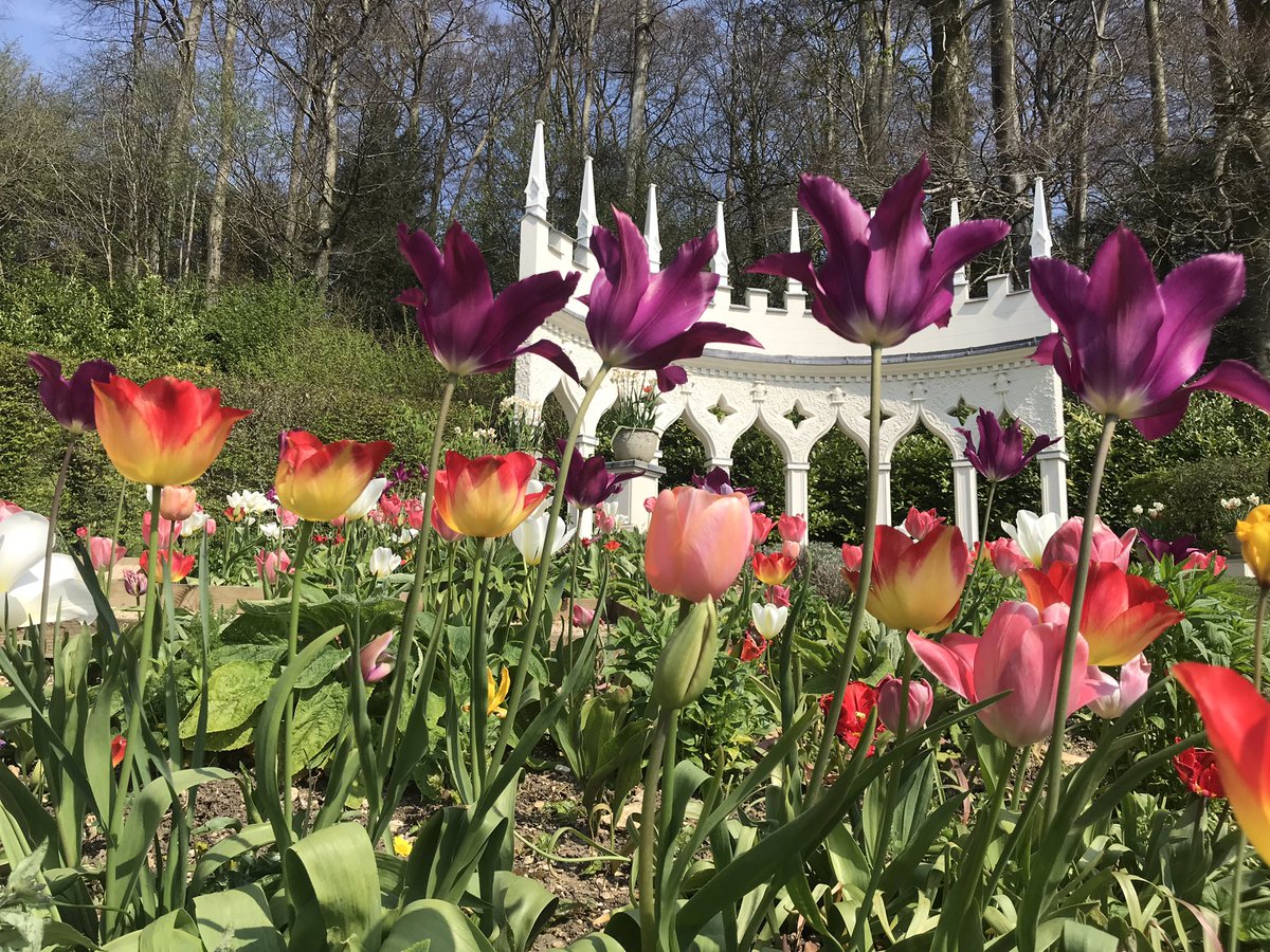 Thanks @DomCotter So sad not to be sharing our wonderful Garden with our lovely keen Easter visitors. Here’s just a sneak peek of the “rainbow of colour” around the Exedra on Friday... #StaySafeStayHome