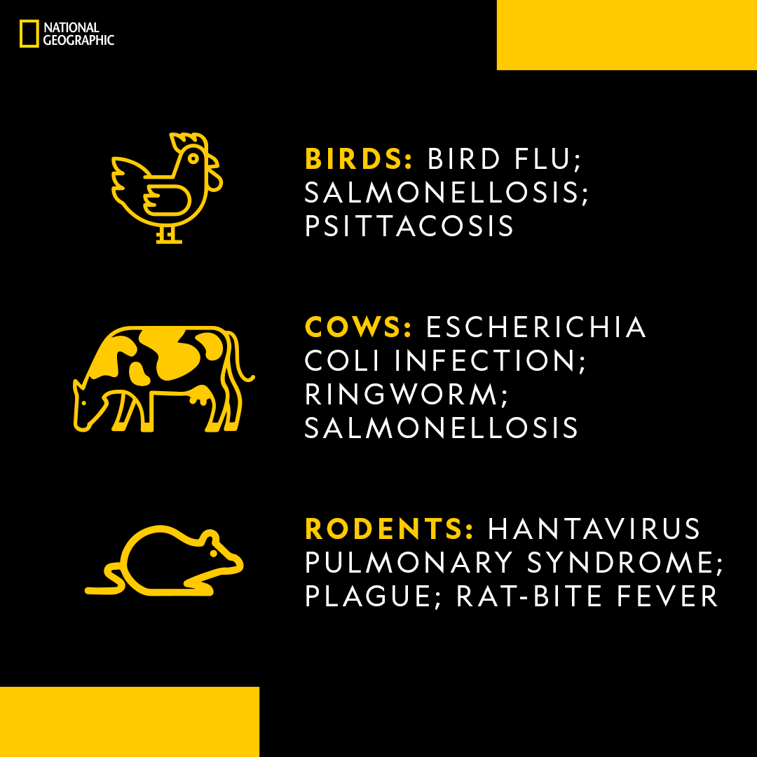  #COVID19  #COVID19India  #COVID19Pandemic