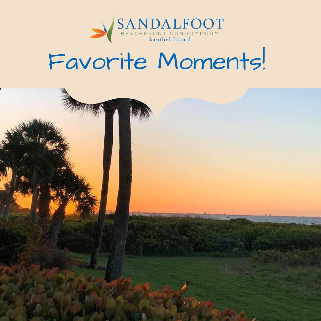 Emily Augustyniak captured the perfect colorful sky in this Favorite Sandalfoot Moment! Thanks for sharing!