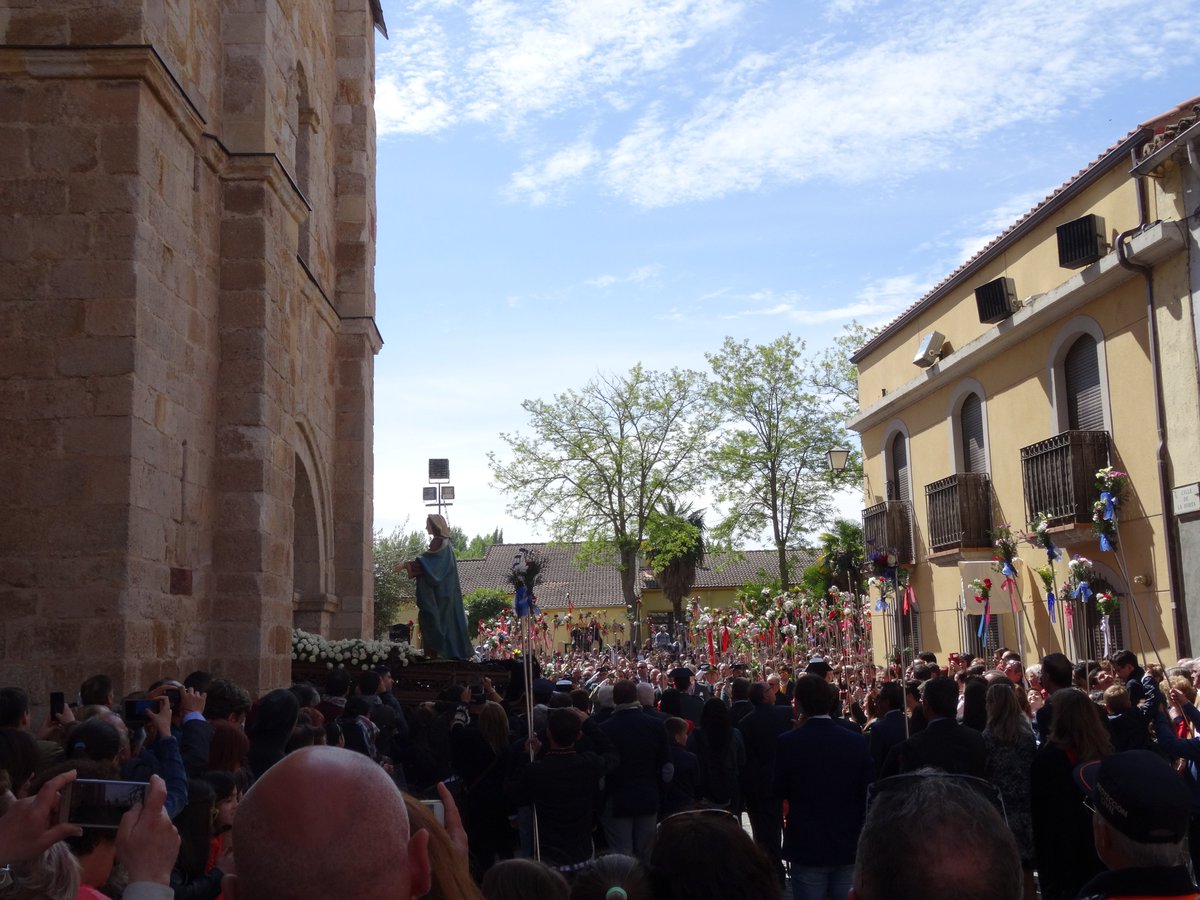 blalorda's tweet photo. Y llega el final de la Semana Santa
#SSZ2020RESURRECCION
@SSenZamora https://t.co/WipCE095gL