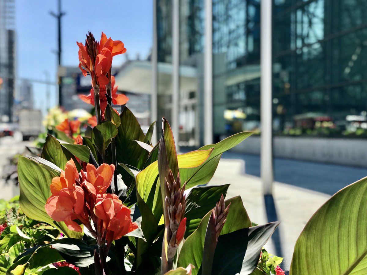 From our family to yours, Happy Easter! These are challenging times, and we need to connect with each other now more than ever. Our love for New York and one another will help get us through this together. #Easter2020 #hope #renewal