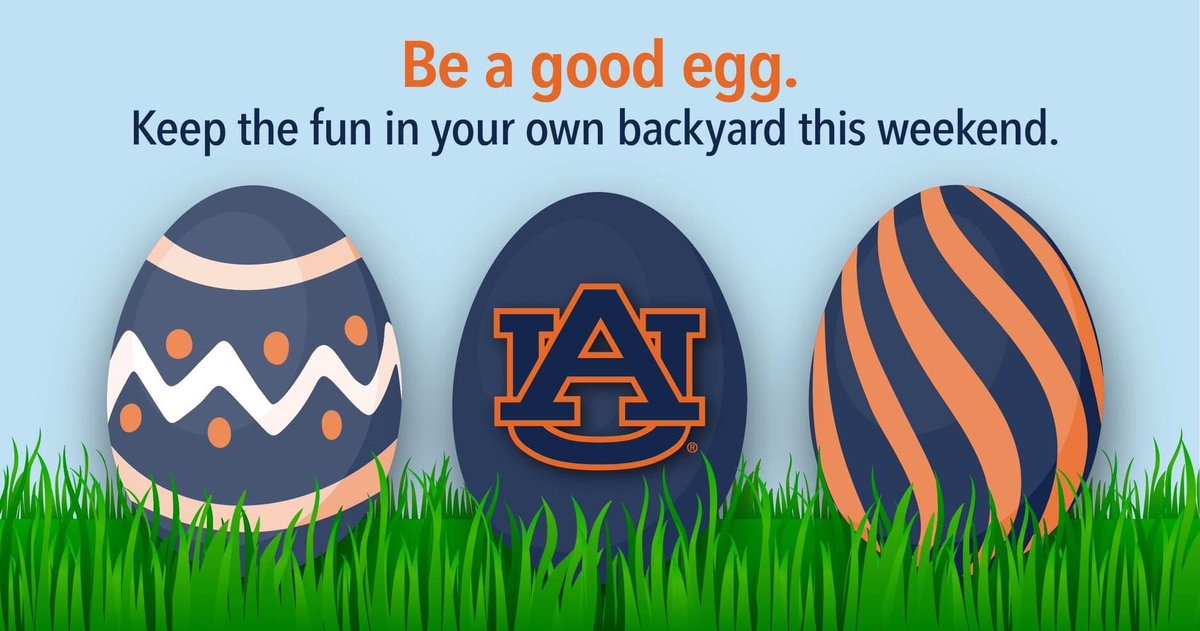 Thanks for all the great graphics all year <a href="/AuburnU/">Auburn University</a> ❤️