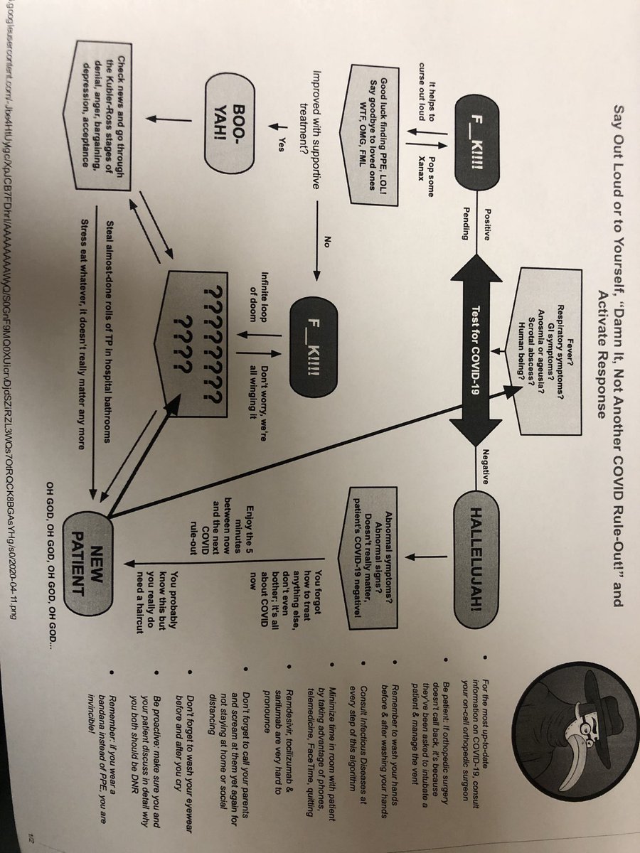 Ellen Tedaldi tweet media