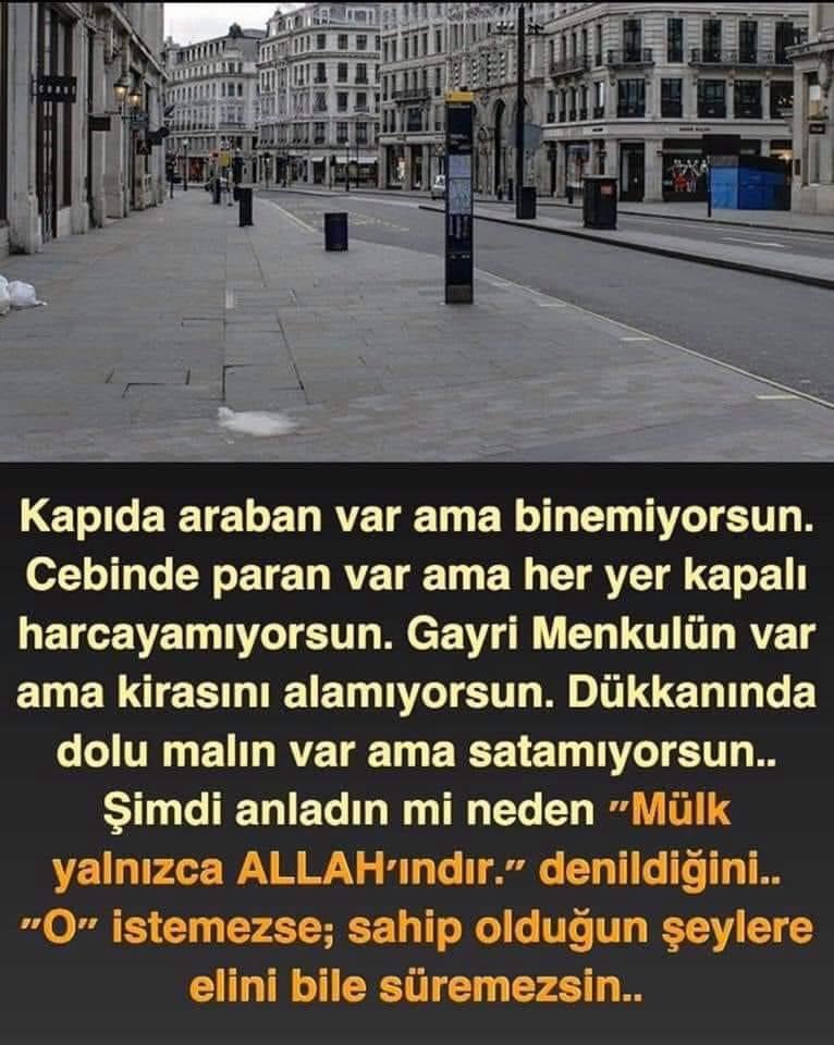 Halit Onacak (@onacak_01) on Twitter photo 