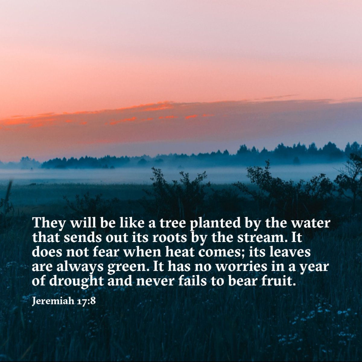 BibleLens's tweet photo. They will be like a tree planted by the water that sends out its roots by the stream. It does not fear when heat comes; its leaves are always green. It has no worries in a year of drought and never fails to bear fruit. - Jeremiah 17:8 https://t.co/F5DXkfDVtH