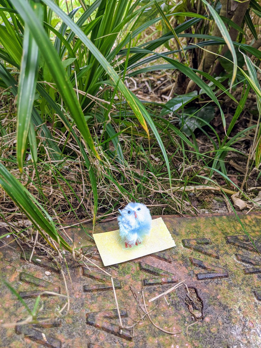 Find a chick, exchange for chocolate 🐥🍫 our Easter egg hunt had all of our service leaders searching the ward! Happy Easter ❣️