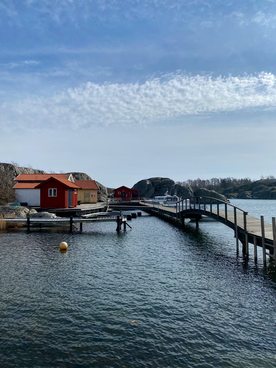 dyho's tweet photo. Easter 2020 🇸🇪 #sweedom 🤷🏻♀️🚴🏻♀️ https://t.co/YQd2Tmuptp