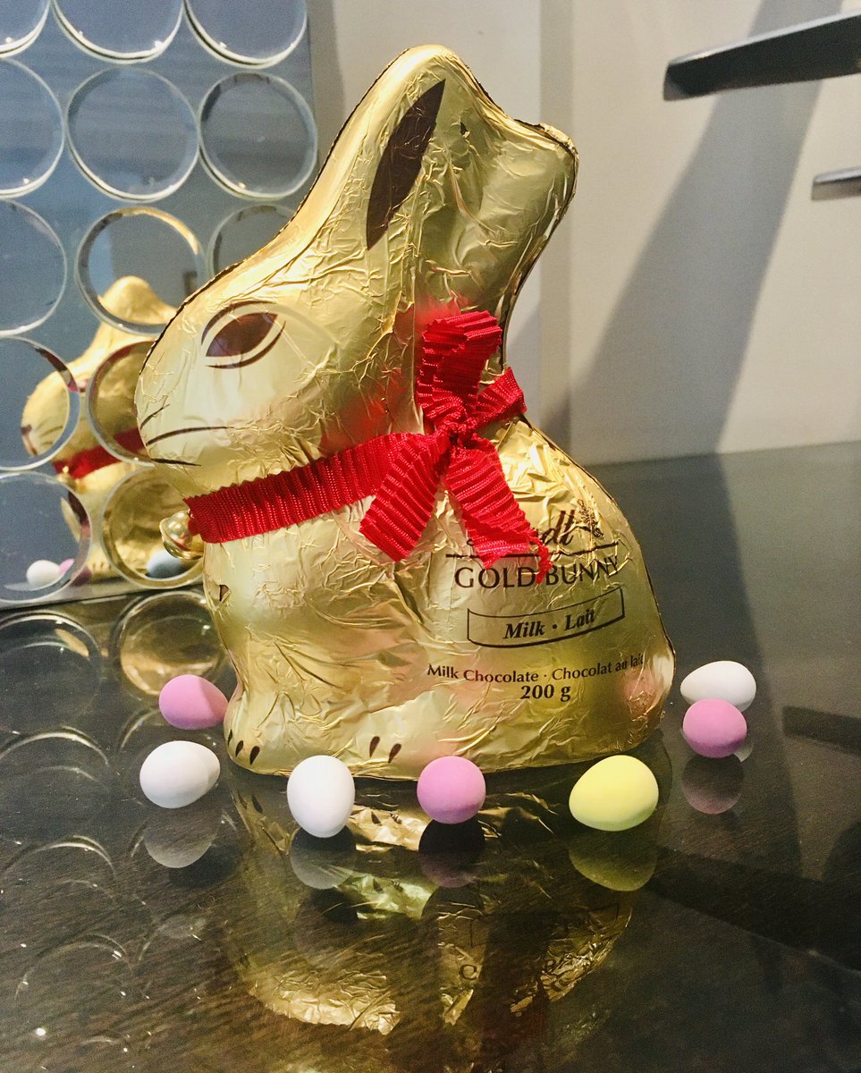 AnnDooseTO's tweet photo. My kid may be a teen, but one is never too old for an Easter egg hunt that ends with chocolatey bunny goodness. #EasterInIsolation #covid19 https://t.co/6a4HsPxk45