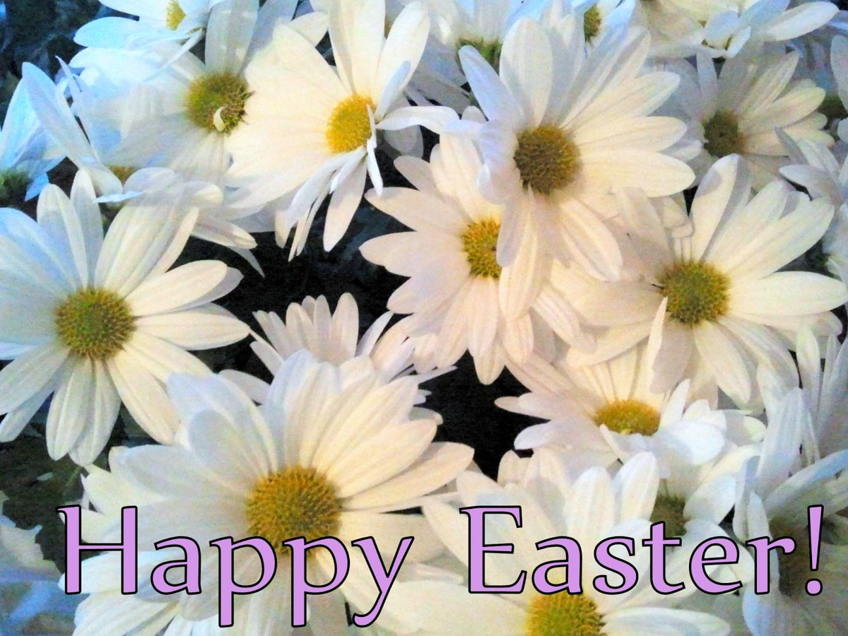 We are closed today so we can be grateful with our families for our many blessings.