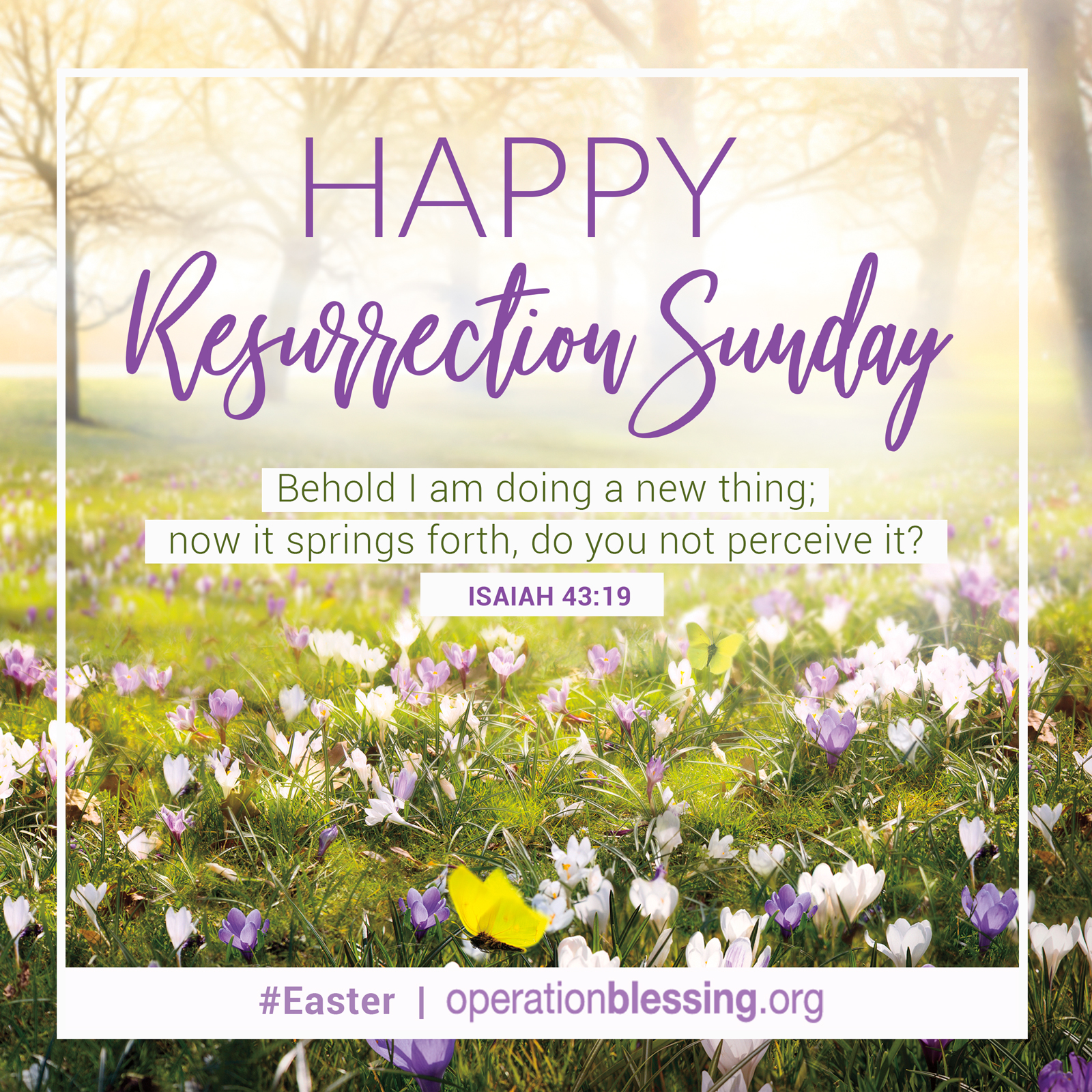 Happy resurrection sale day 2020
