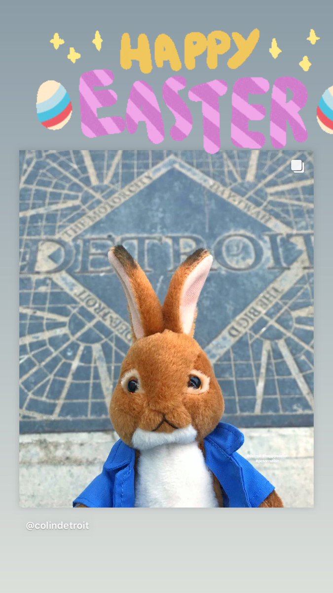 Colin McConnell tweet media