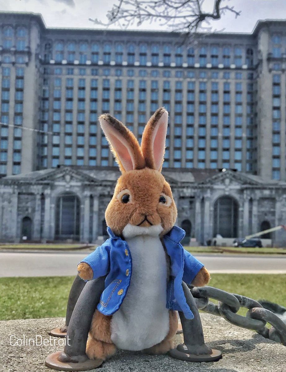 Colin McConnell tweet media