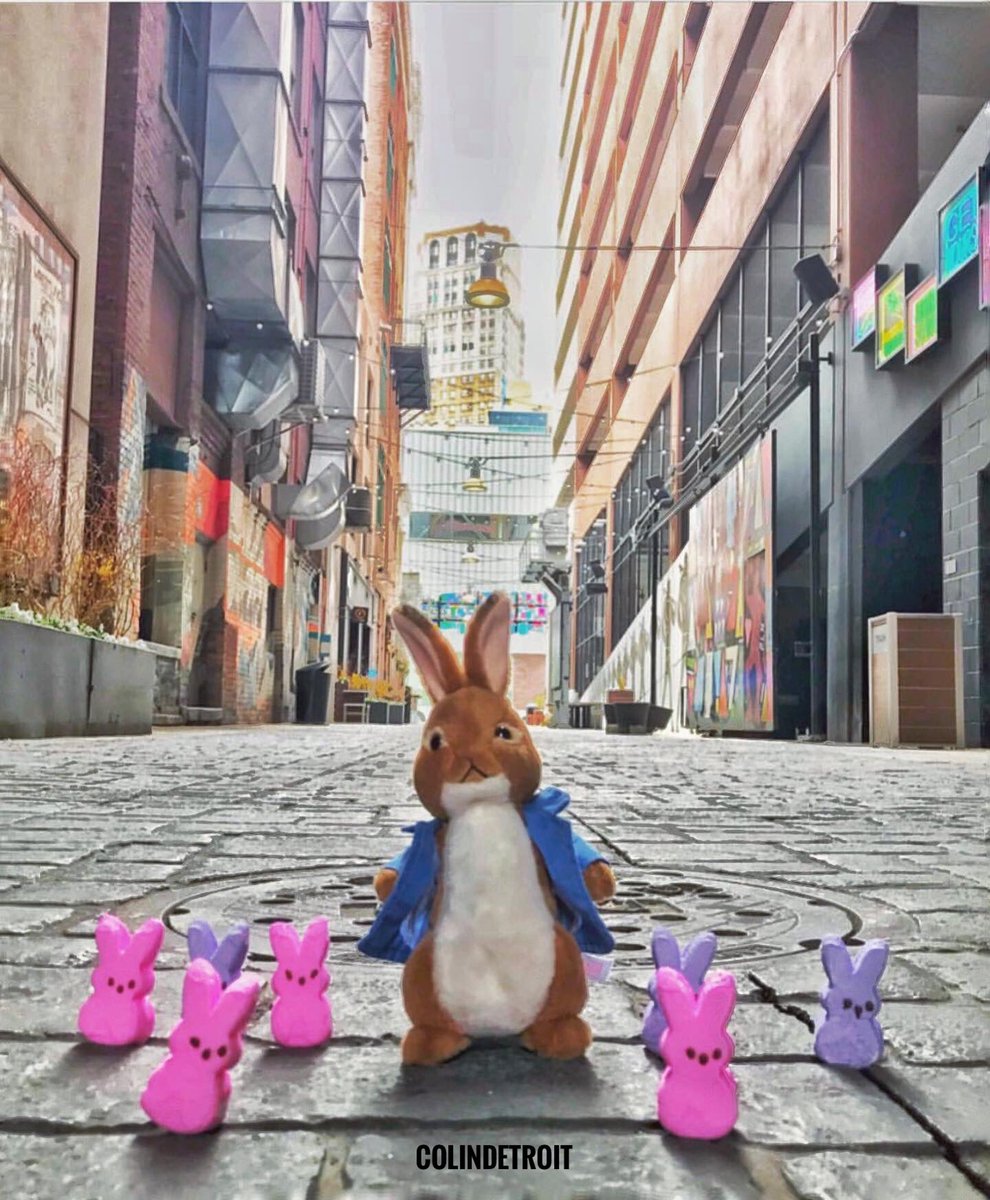 Colin McConnell tweet media