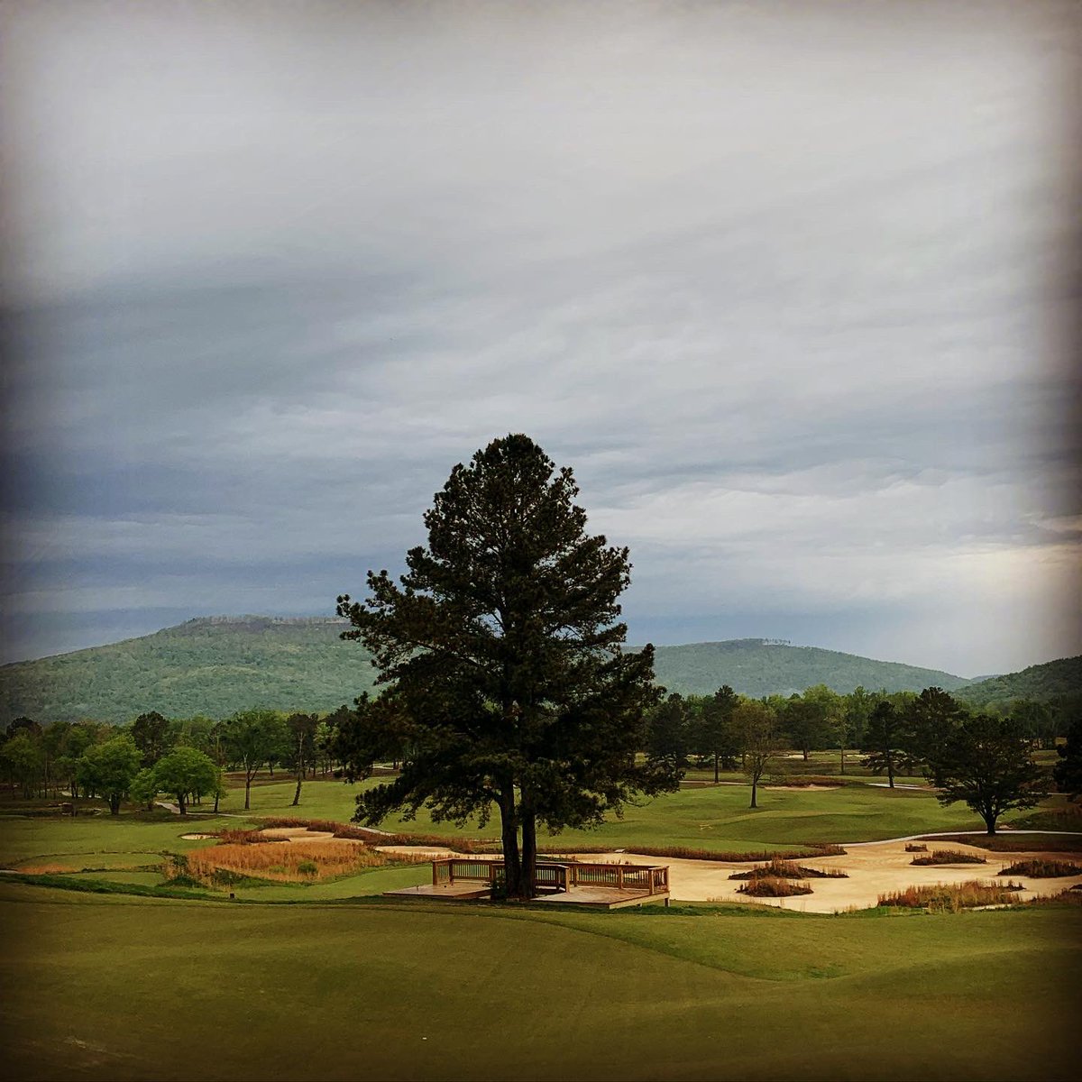 SweetensCove's tweet photo. Happy Easter ๐ฐ๐ฃ๐ to all our Sweetens Fam and Friends!! #svgcc #iykyk #easter #sweetens https://t.co/UpHSt9UngZ