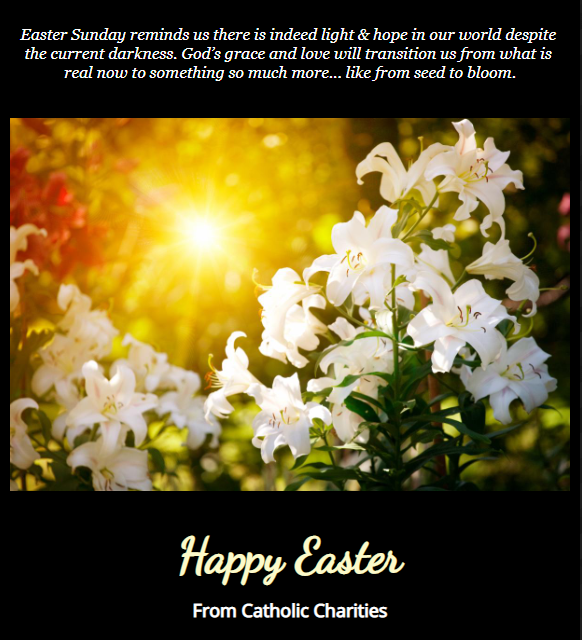 Catholic Charities (@ccsbriv) on Twitter photo 