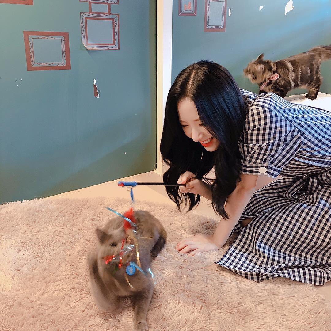 Jiyeon (@bb0nakim) / Posts / X