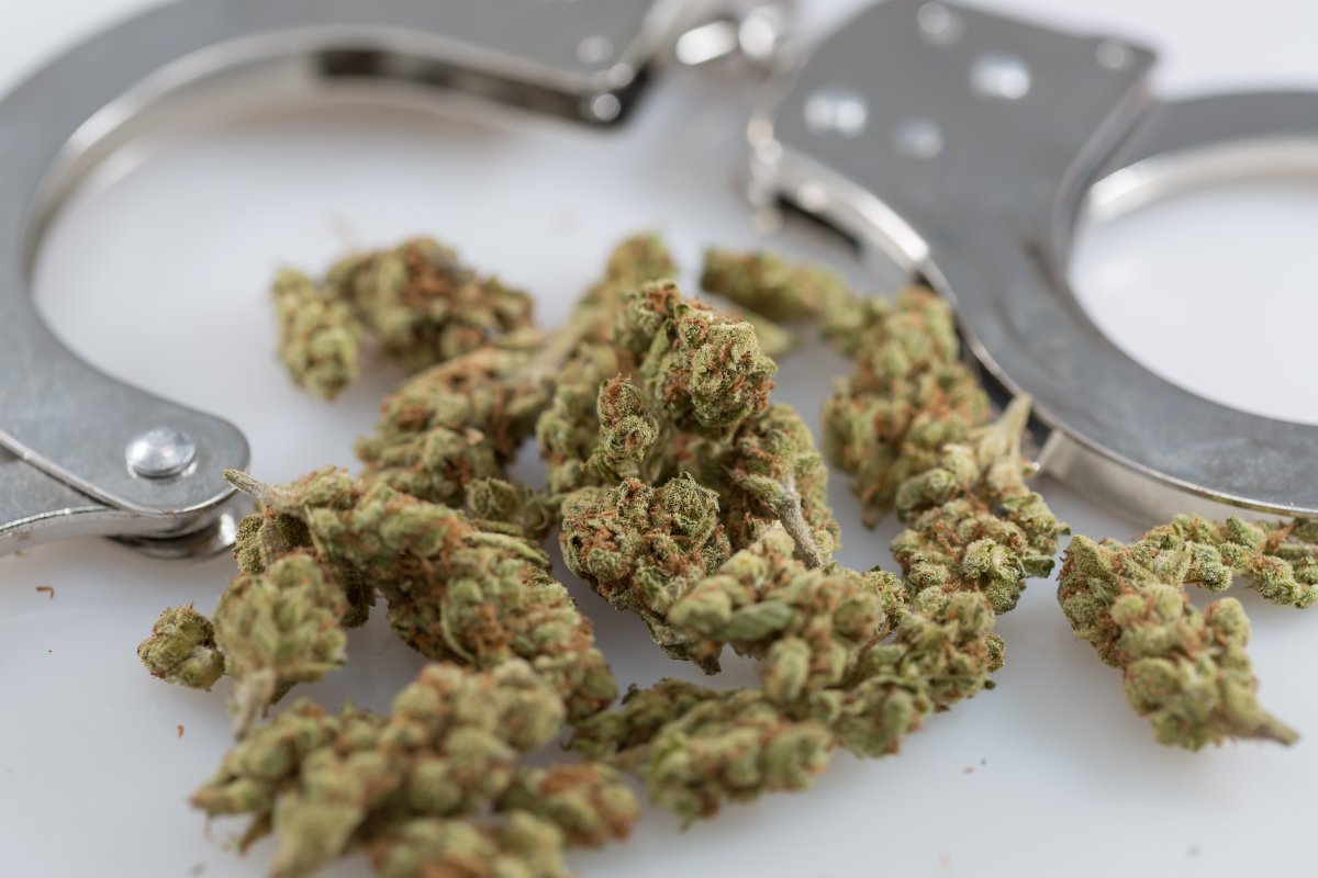 tomangell's tweet photo. BREAKING: Virginia Gov. Ralph Northam just approved a marijuana decriminalization bill.
When it takes effect there will be 27 states in the U.S. where possessing small amounts of cannabis no longer comes with the threat of jail time.
https://t.co/DqWwNMzKT9 https://t.co/fJJYYJxCkC