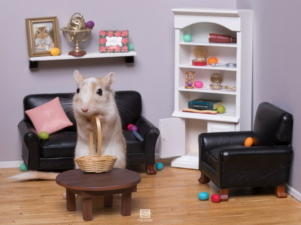 GerbMeetsMouse's tweet photo. There's more!!! #gerbil #gerbils #rodentsofinstagram #dollhouseminiatures #petsofinstagram #virtualeaster #easter2020 #stayhome #easterinquarantine #easteregghunt #easteregg #easterbunny #dailyfuzz #pocketpet #petsofig #petoftheday #dailyfluff #cutepets … https://t.co/3fpqoXC6XF https://t.co/CmDvIET7vm
