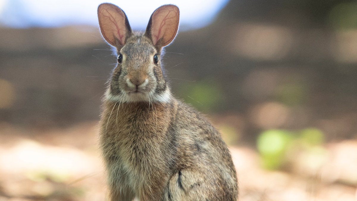 INTO Hofstra University tweet media