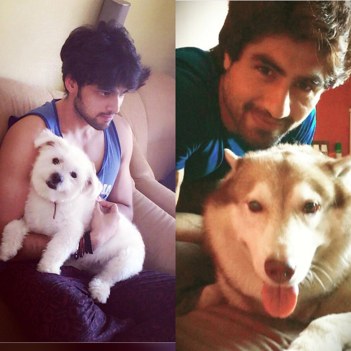 Their Love For Pets  #ParthSamthaan  #HarshadChopda  #ParHad 