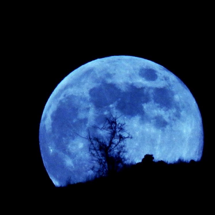 Есть синяя луна. Голубая Луна явление. Синяя Луна. Голубое полнолуние. Голубая Луна голубая.