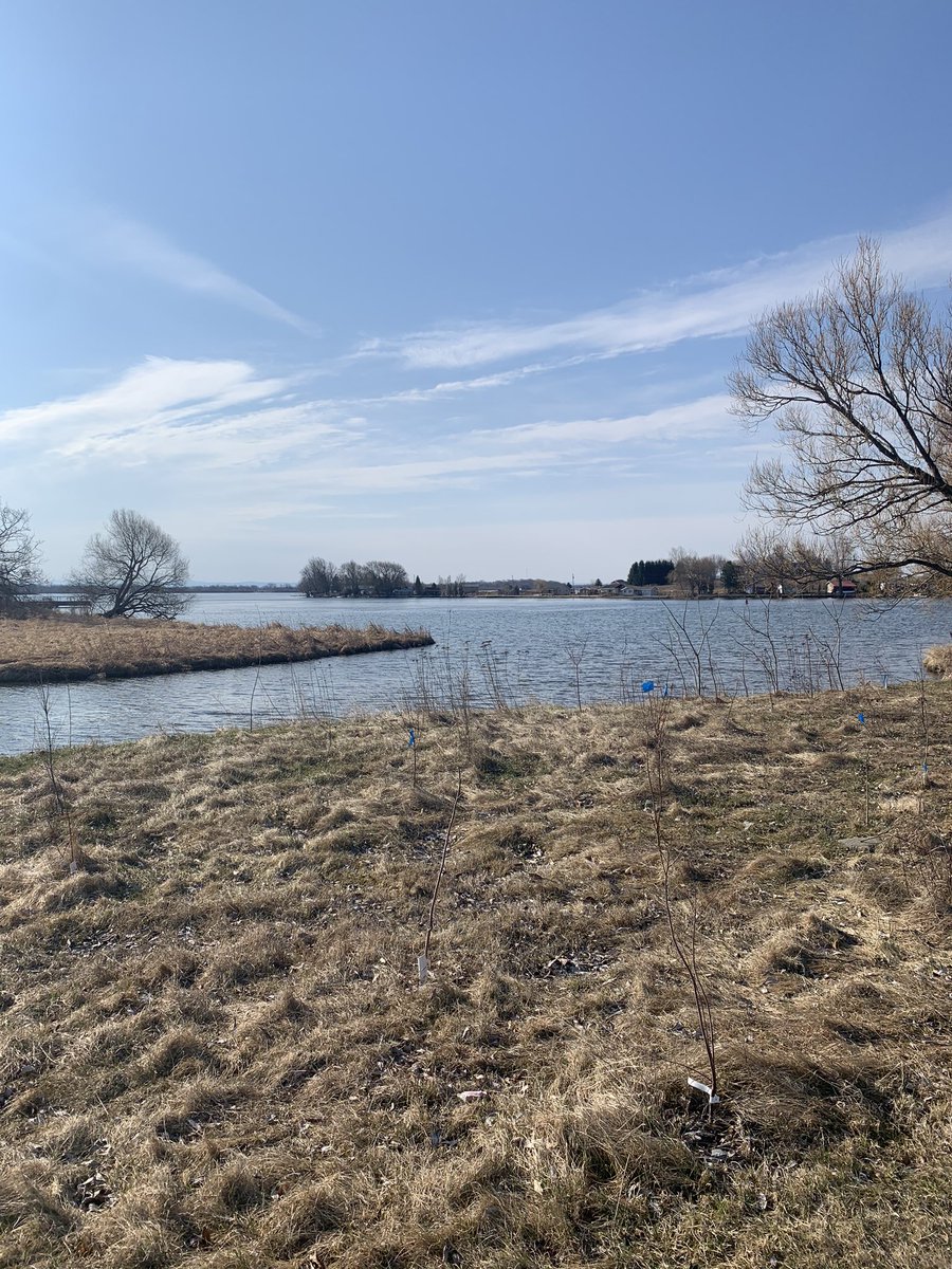 Beautiful day out there. Happy Easter!