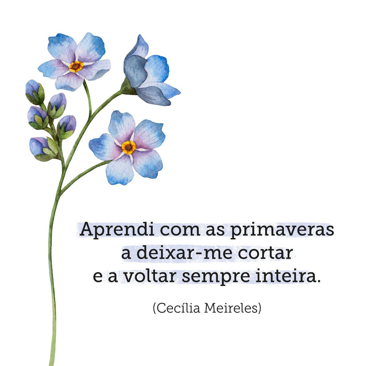 gloriapires's tweet photo. ⭐️🙌🏼🤍 https://t.co/QZAZNmQnbl