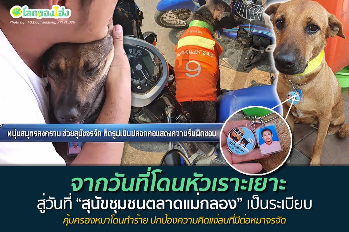 dinotarn_'s tweet photo. ขออนุญาตแชร์เรื่องราวน่ารักให้ได้อ่านนนะคะ @CheerNy14 หนุ่มทำจี้รูปหน้าตัวเองห้อยคอสุนัขจรจัด-สุนัขขาพิการเขียนด้านหลังแสดงค��ามเป็นเจ้าของ "หมาตัวนี้ผมรับผิดชอบเองหากไปทำความเดือดร้อนยินดีชดใช้ให้โดยไม่มีเงื่อนไข”บางคนอาจรู้สึกตลกกับสิ่งที่เขาทำสู่ปัจจุบันวันที่ชุมชนเป็นระเบียบ https://t.co/tqOxPoB6Jz