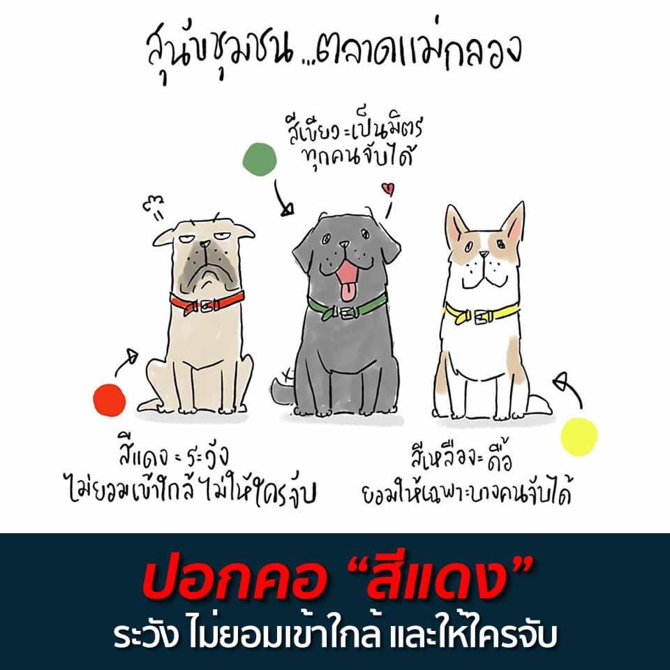 dinotarn_'s tweet photo. ขออนุญาตแชร์เรื่องราวน่ารักให้ได้อ่านนนะคะ @CheerNy14 หนุ่มทำจี้รูปหน้าตัวเองห้อยคอสุนัขจรจัด-สุนัขขาพิการเขียนด้านหลังแสดงค��ามเป็นเจ้าของ "หมาตัวนี้ผมรับผิดชอบเองหากไปทำความเดือดร้อนยินดีชดใช้ให้โดยไม่มีเงื่อนไข”บางคนอาจรู้สึกตลกกับสิ่งที่เขาทำสู่ปัจจุบันวันที่ชุมชนเป็นระเบียบ https://t.co/tqOxPoB6Jz