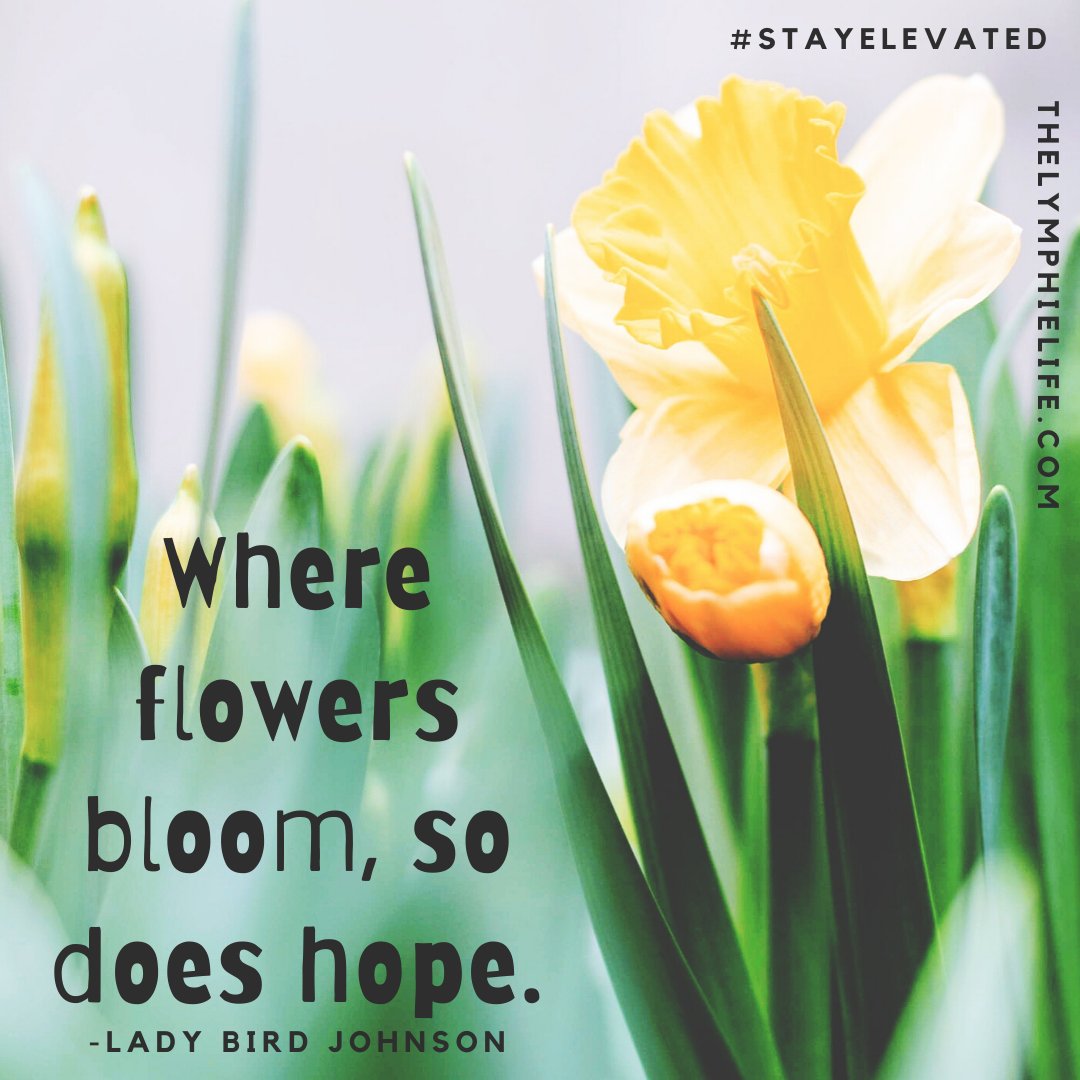 the Lymphie Life tweet media