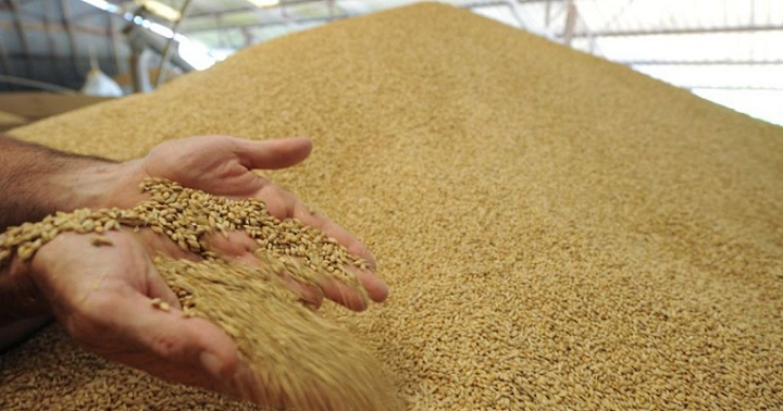 rtorussia's tweet photo. Delivery of milling wheat to Algeria 🇩🇿
Date of delivery: 10-15 May, 2020
Available for sale: 65,000 MT
Origin: Russia 🇷🇺
https://t.co/tl1gOKo42w https://t.co/SQOR2NKSmg