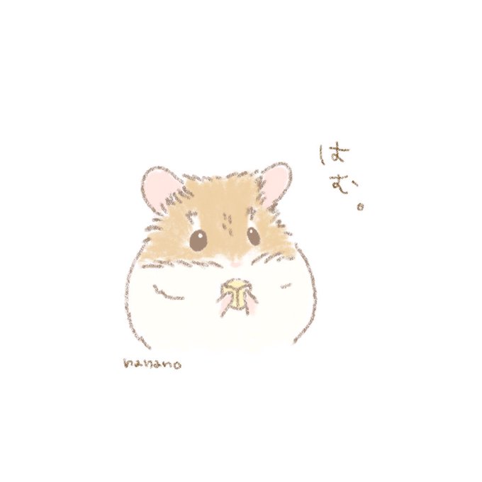 世界ハムスターの日のtwitterイラスト検索結果 古い順 世界ハムスターの日のtwitterイラスト検索結果 古い順