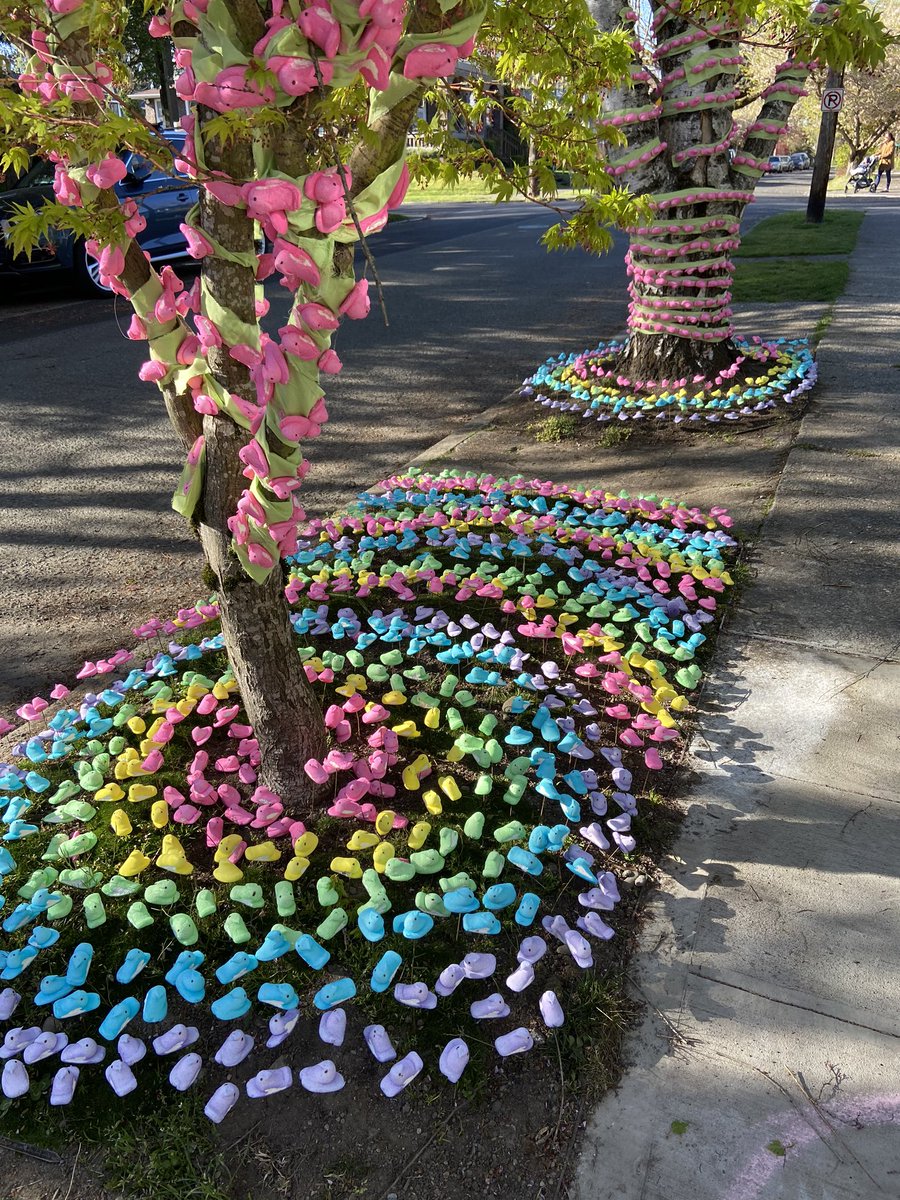 ckjohnston8's tweet photo. Neighborhood Easter Love.  
Best use of Peeps. https://t.co/JPjcJzqvw0