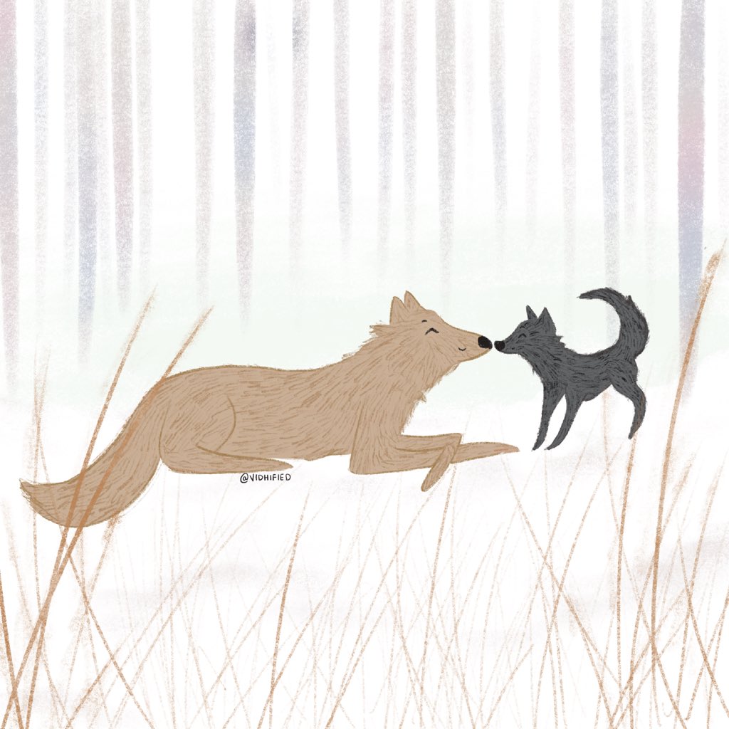 vidhified's tweet photo. Drew this while listening to @thisisloveshow &amp; @CriminalShow  podcast “The Wolves” narrated by my favourite @PhoebeVJudge 
A story which teaches us how to respect each other, of how to be more thoughtful and kind. Perhaps a story where you learn to be “more human” from the wolves https://t.co/ipEz14o9OT