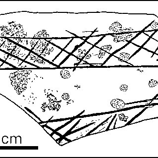 The oldest engraved object ever discovered in India?An ostrich eggshell discovered from Patne(Maharashtra?) dating back to 25,000 years BP may be it.  https://www.google.com/amp/s/www.researchgate.net/figure/Engravings-on-ostrich-eggshell-fragment-Patne-western-India-early-Upper-Palaeolithic_fig2_247847297/amp