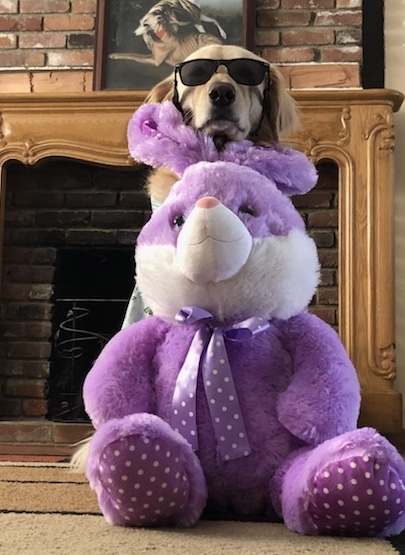 Hoppy Easter Everybunny 🐰