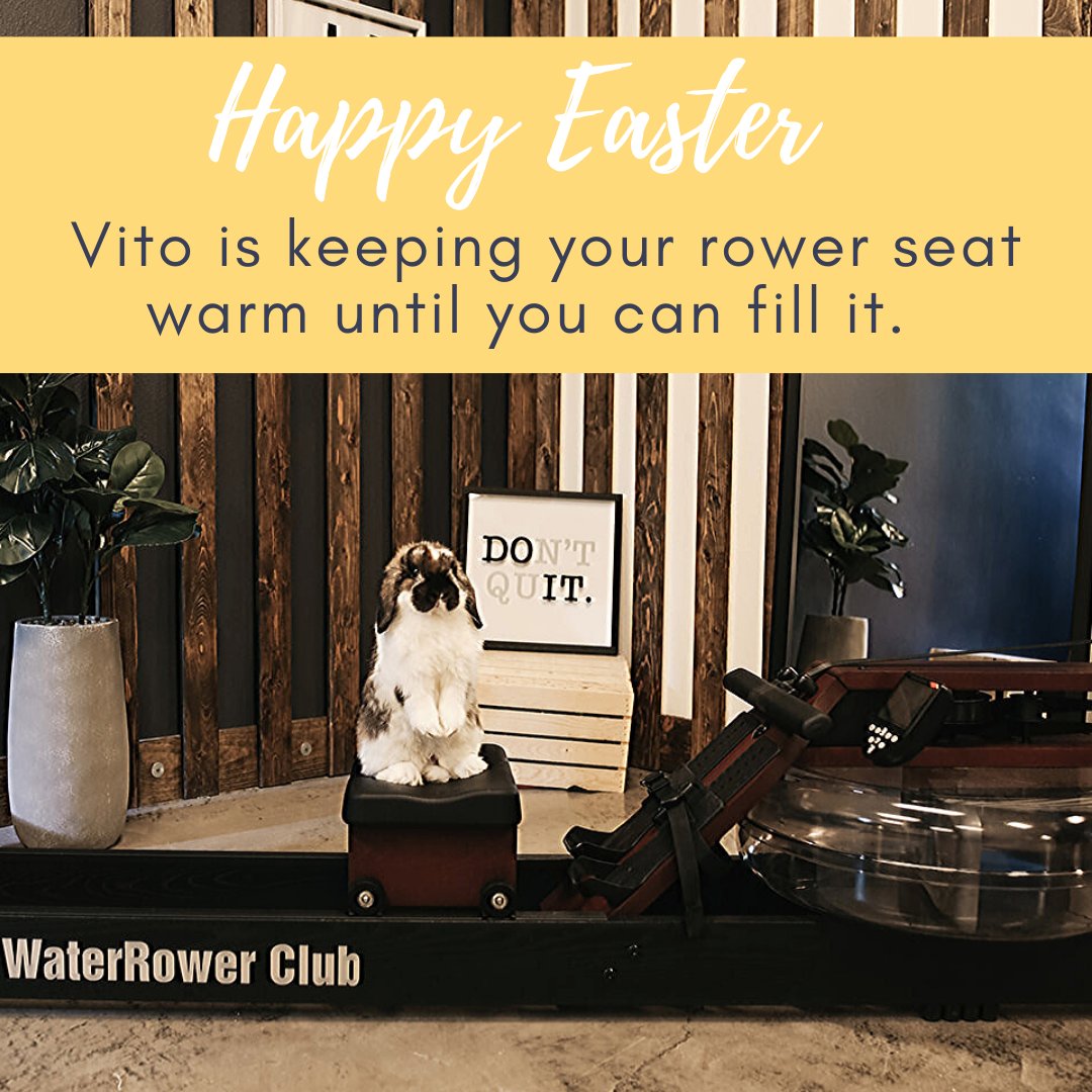 Wishing you all a happy Easter.  Our unofficial mascot, Vito, is doing his part and keeping your rower seat warm while we patiently wait to reopen.