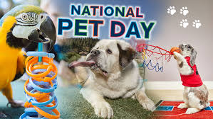 mdsahanahmed10's tweet photo. #love the #animals and care them without man no others they can helps #thepets.#NationalPetDay #NationalPuppyDay #PetDay #petcelebration #petreaction
๐๐๐๐๐๐๐๐๐ฅฐ https://t.co/5iXvSkQU1Z