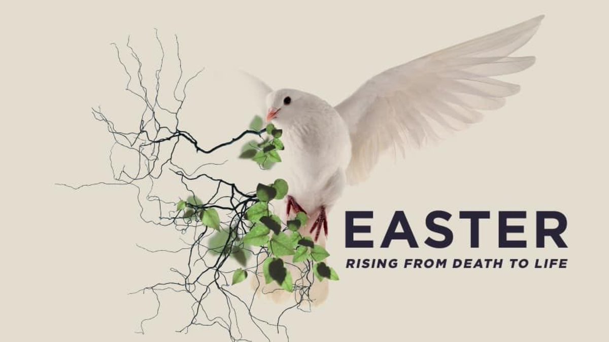 JonMoton's tweet photo. Join us for Easter Online! Invite a friend, all are welcome. Let’s celebrate the resurrection https://t.co/Zn741oye6A @centralaz https://t.co/Ji3pNQqDWV