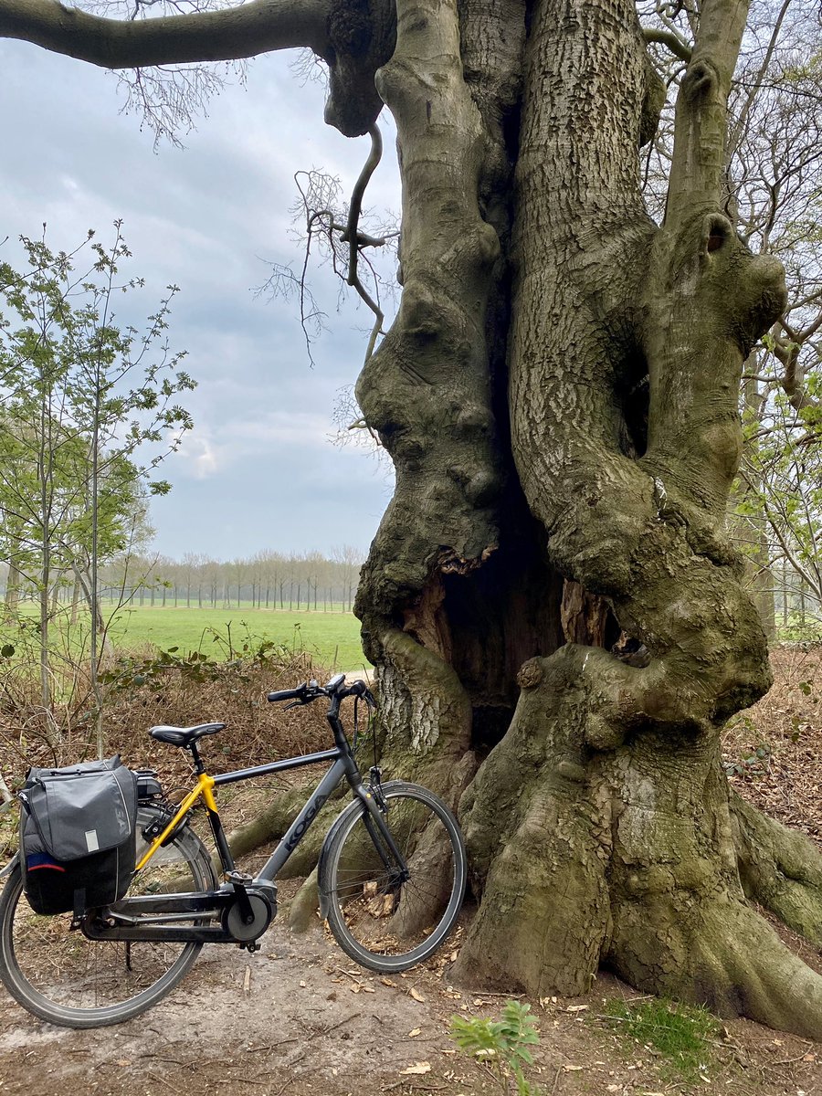 mathilebrandts's tweet photo. #treeride🤓🌳 https://t.co/Yvt7OAXnWm