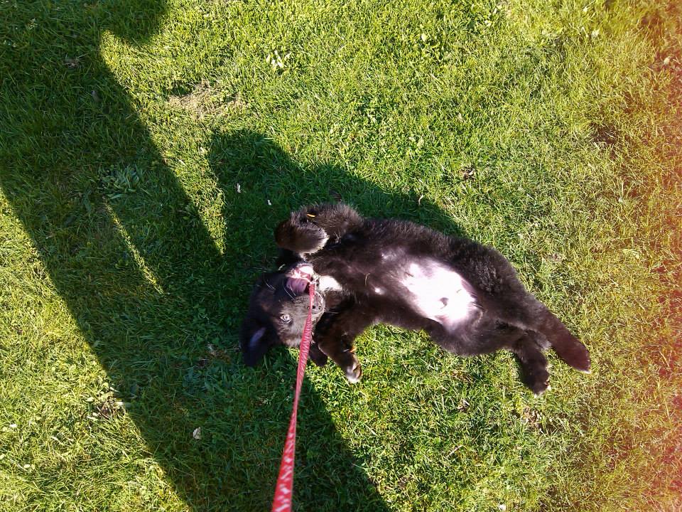 Tarçında sapık çıktı amk;Sadece denedim ne yapıcak diye aklınıza başka şey gelmesin karantinada can sıkıntısı işde🤣😂🤣🤣😍🥰😍🤡😘😘