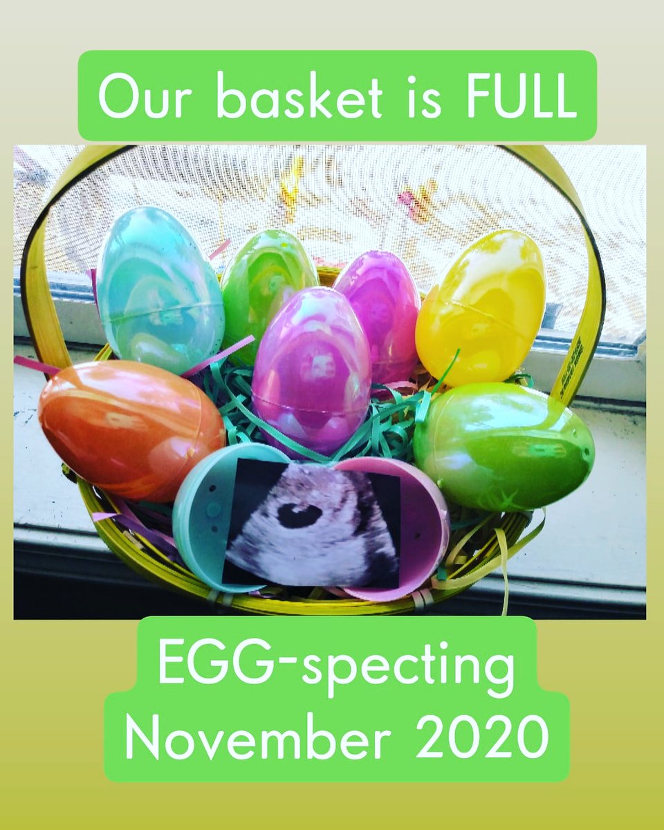 thenuttynine's tweet photo. #baby6 #largefamily #8weeks #eggspecting https://t.co/1n5K6UTSBh