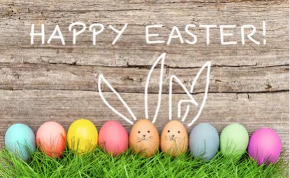 Lori Rosenberg tweet media