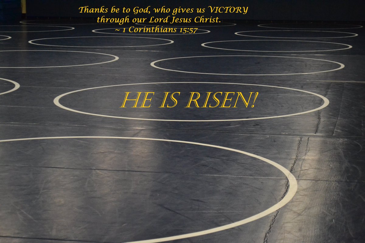 Holy Cross Wrestling tweet media