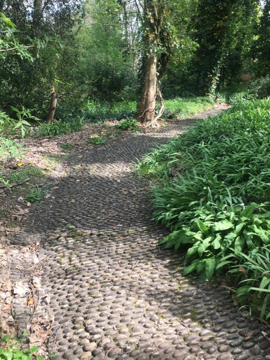 gailsyfinch's tweet photo. I have fallen in love with Warley Place itβs such a beautiful, peaceful nature reserve with a reams of history. First long walk I have had in a while 7.08 km. π #warleygap https://t.co/gmASs7fZSG