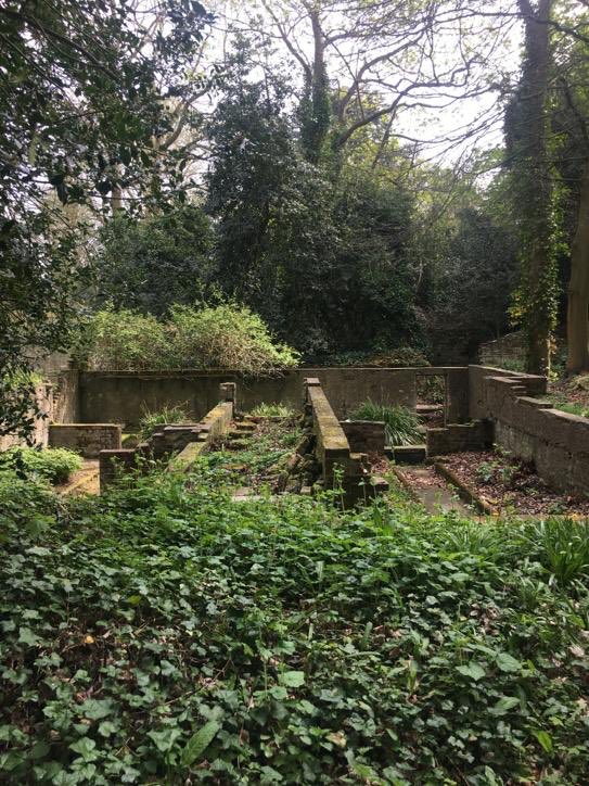 gailsyfinch's tweet photo. I have fallen in love with Warley Place itβs such a beautiful, peaceful nature reserve with a reams of history. First long walk I have had in a while 7.08 km. π #warleygap https://t.co/gmASs7fZSG