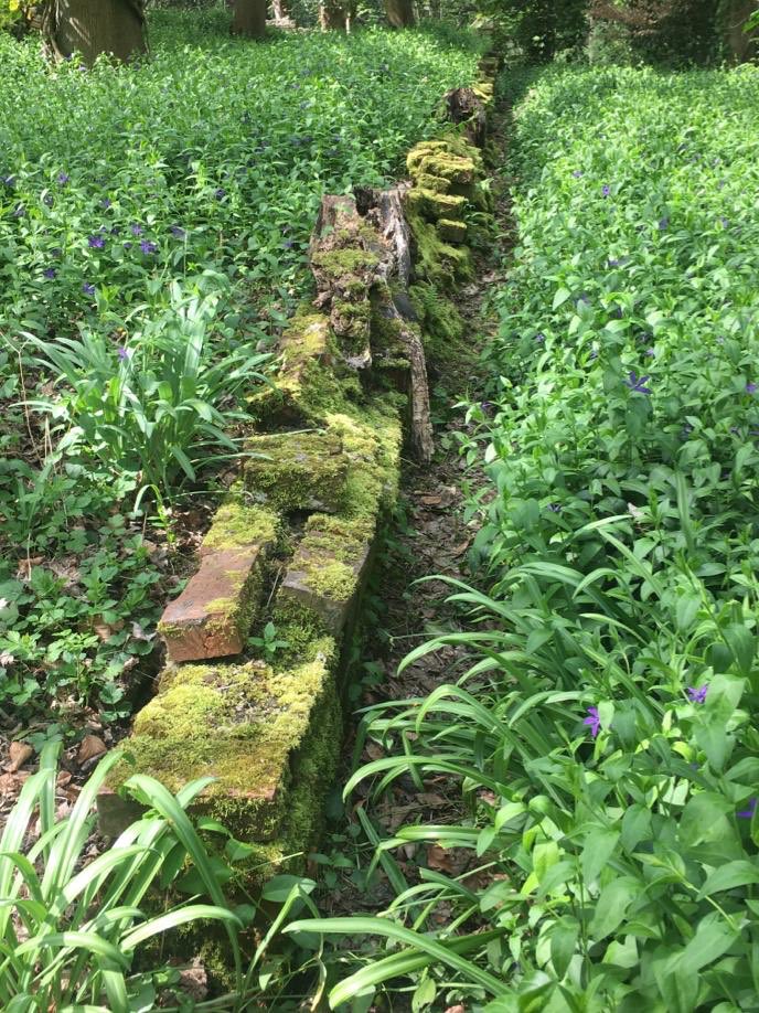 gailsyfinch's tweet photo. I have fallen in love with Warley Place itβs such a beautiful, peaceful nature reserve with a reams of history. First long walk I have had in a while 7.08 km. π #warleygap https://t.co/gmASs7fZSG